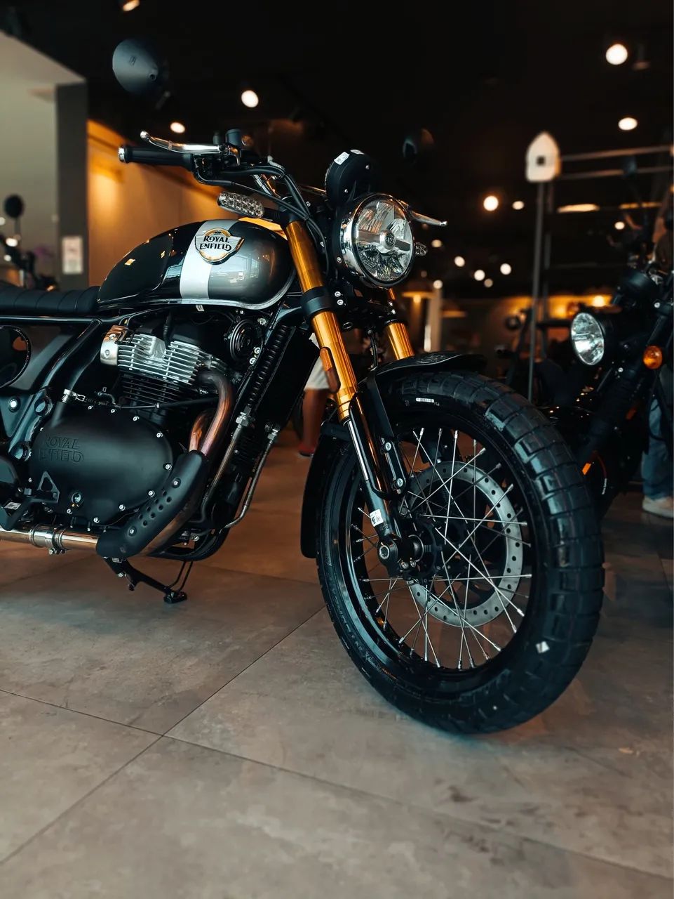 Bear 650 - Danielle  - Foto 2