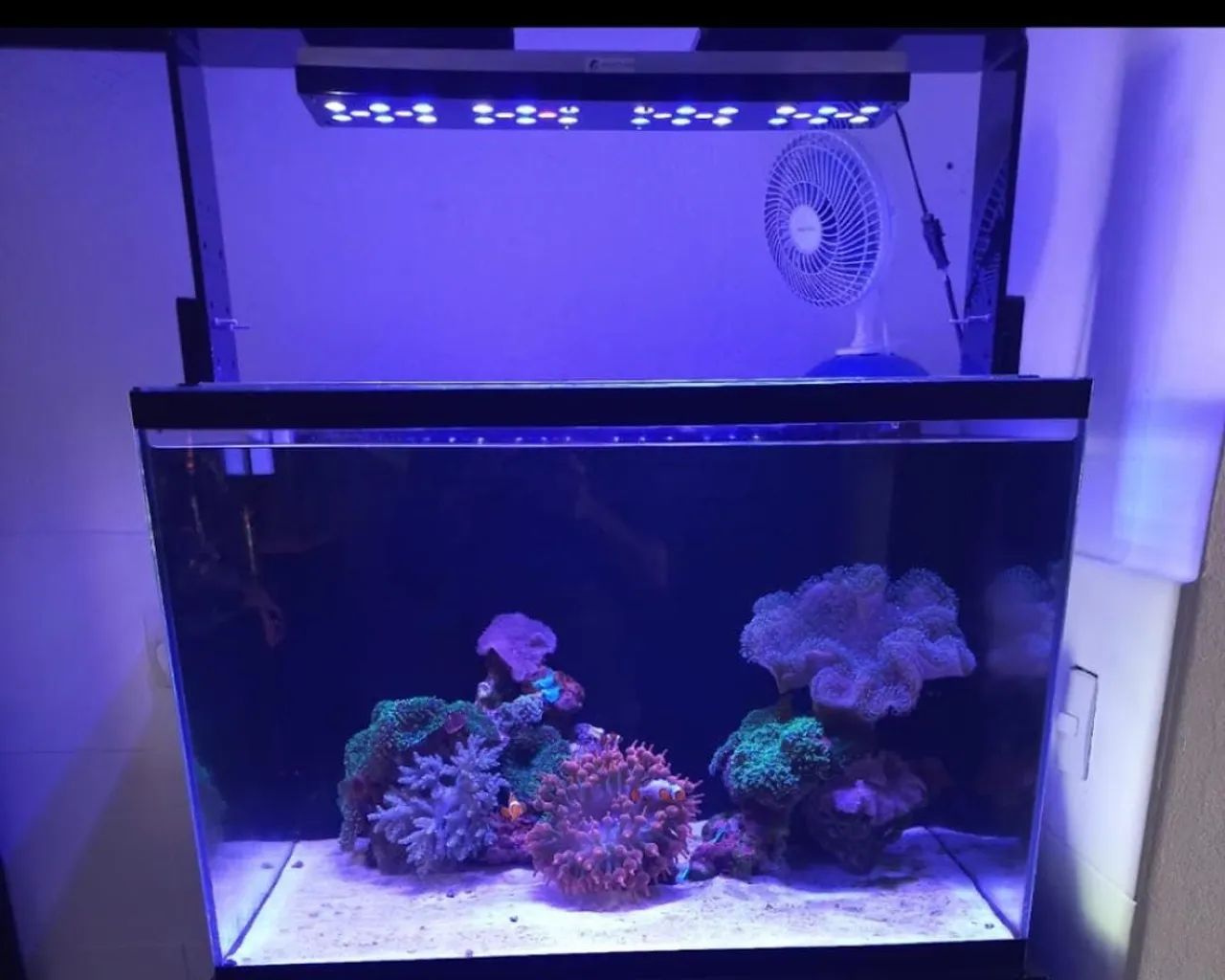 Luminária marinho DOLED  - Foto 4