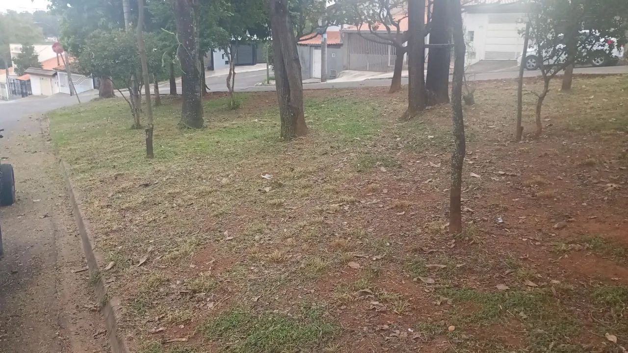 Roçagem e jardinagem  - Foto 3