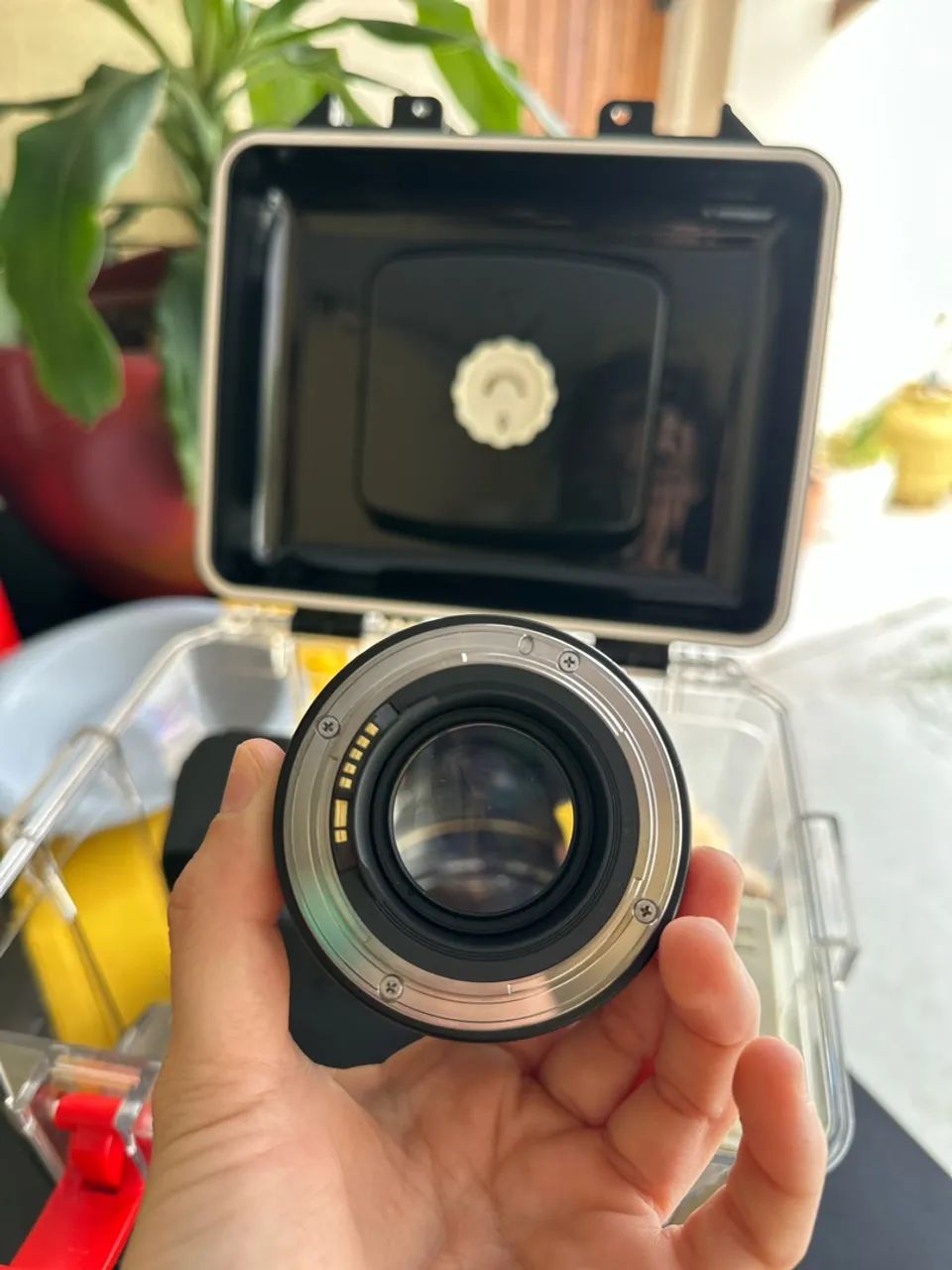 Canon 50mm 1.4 - Foto 4