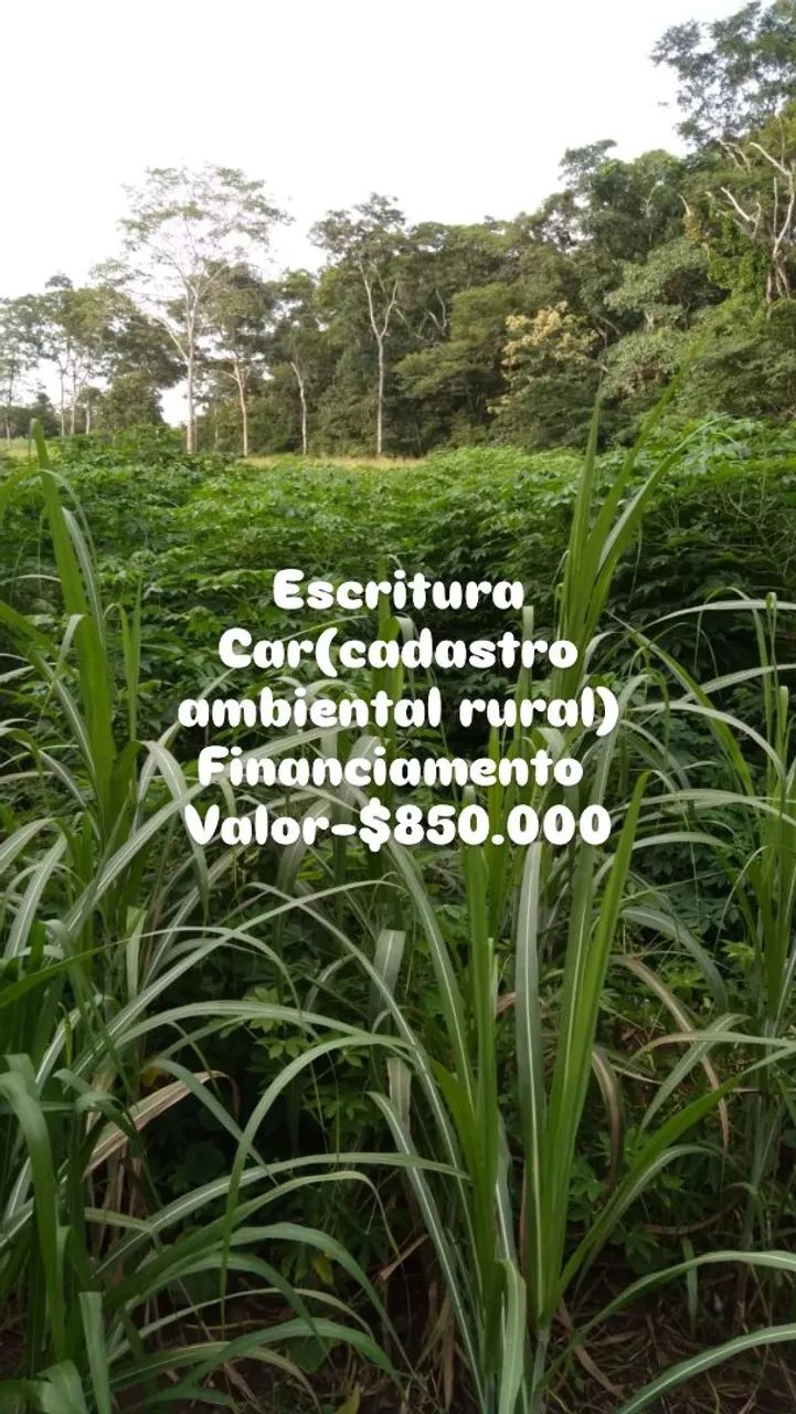 FAZENDA EM JANGADA-MT