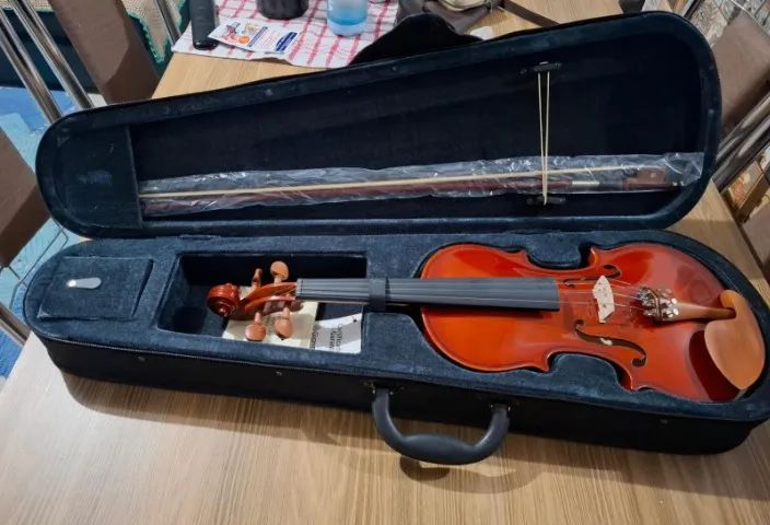 Violino 4x4 Giannini