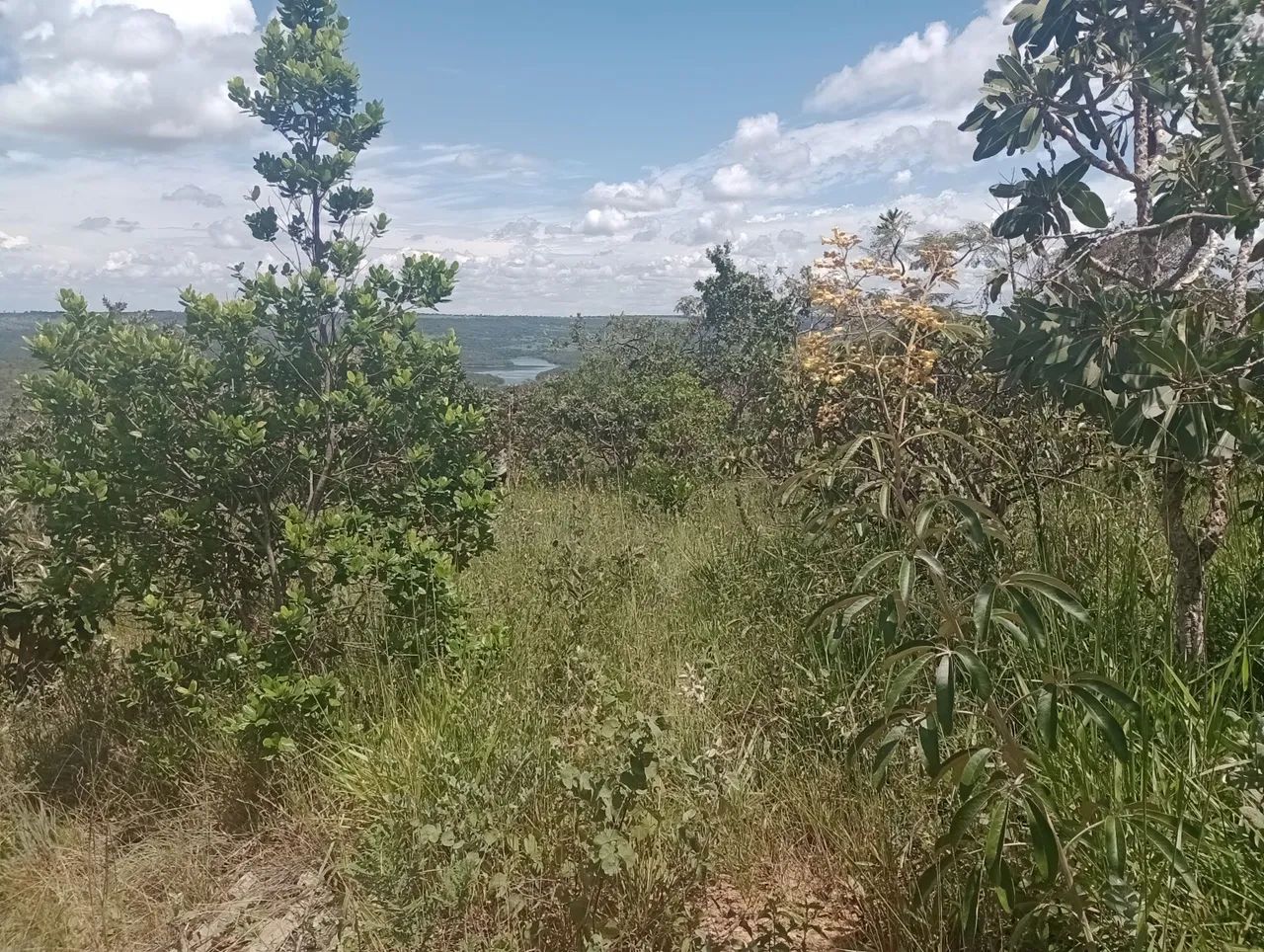 Vendo terreno no Corumbá  - Foto 4