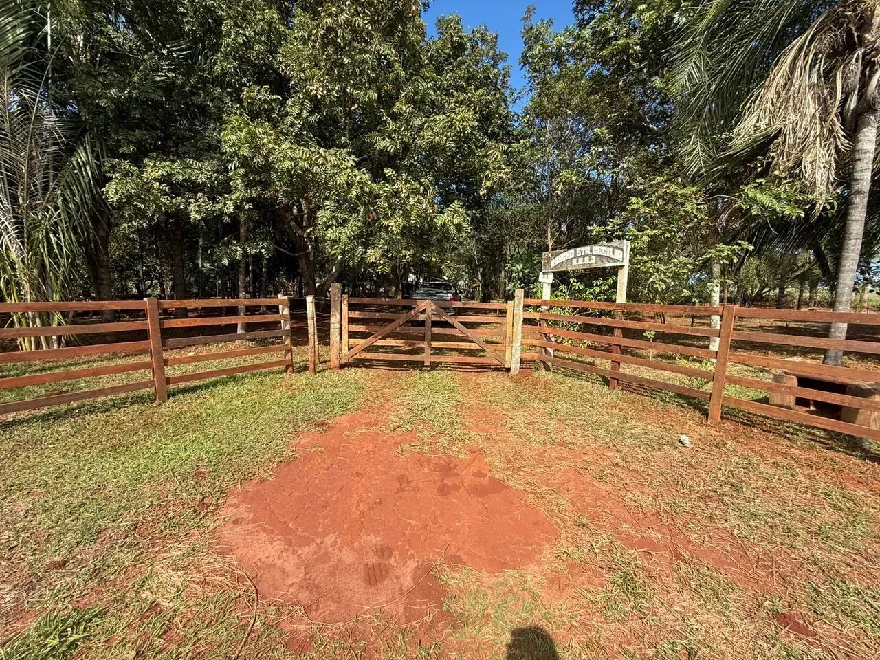 CÓD. 501  Chácara à venda com 31,9 hectares em Sidrolândia/MS