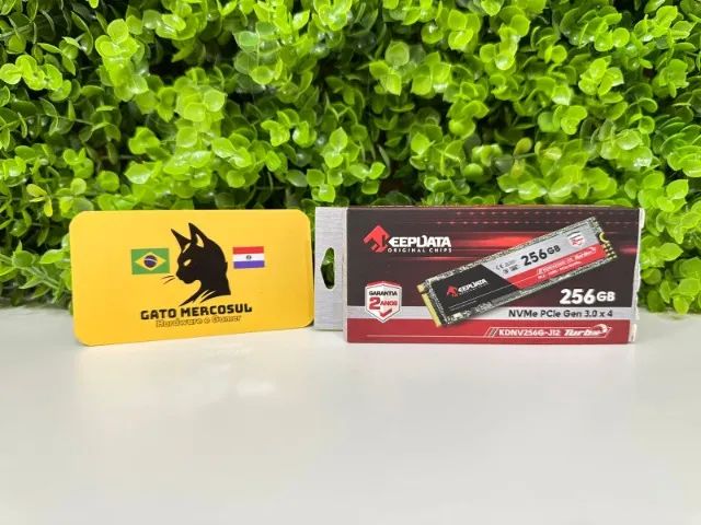 SSD Keepdata, 256GB, M.2