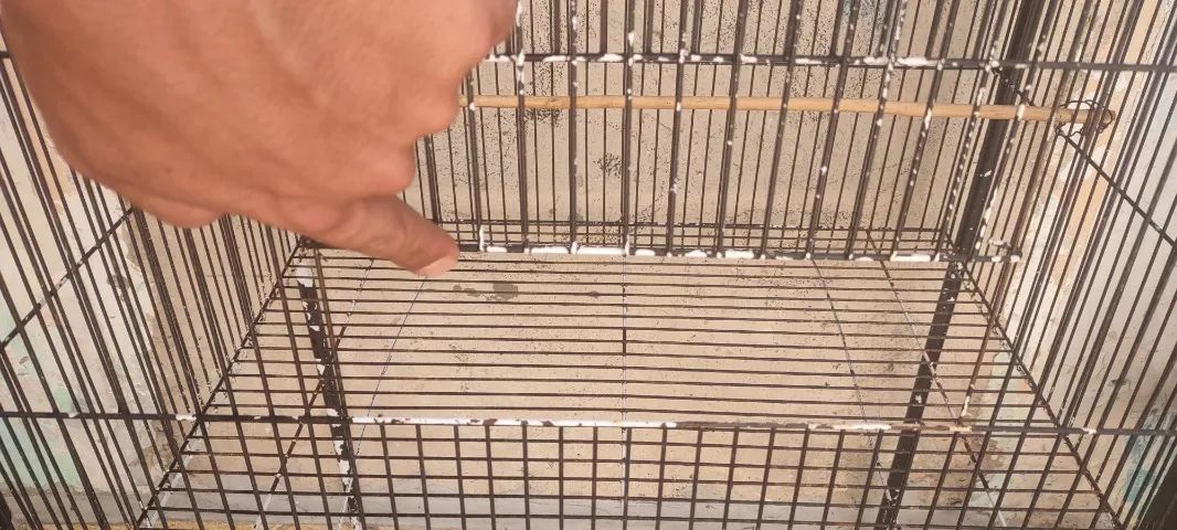 Gaiola para pássaros ou outros animais de pequeno porte