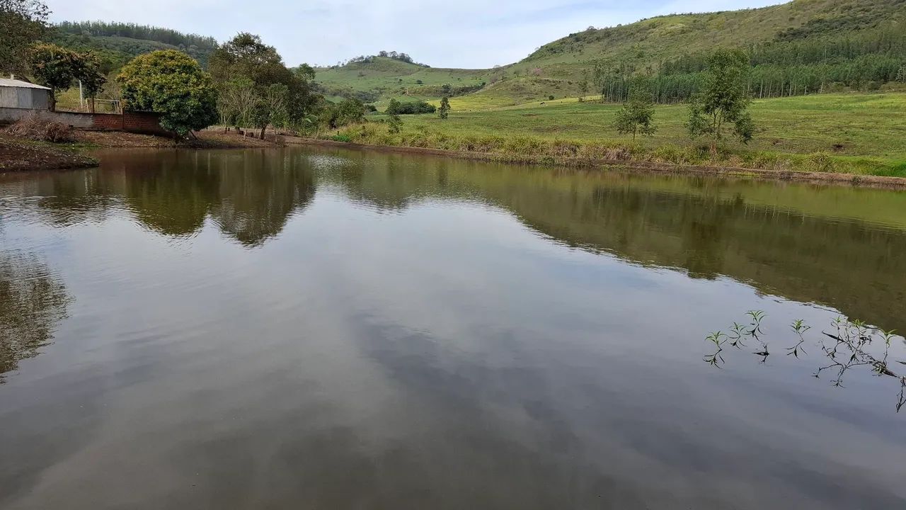 Sítio  próximo a Campo Mourão. - Foto 4