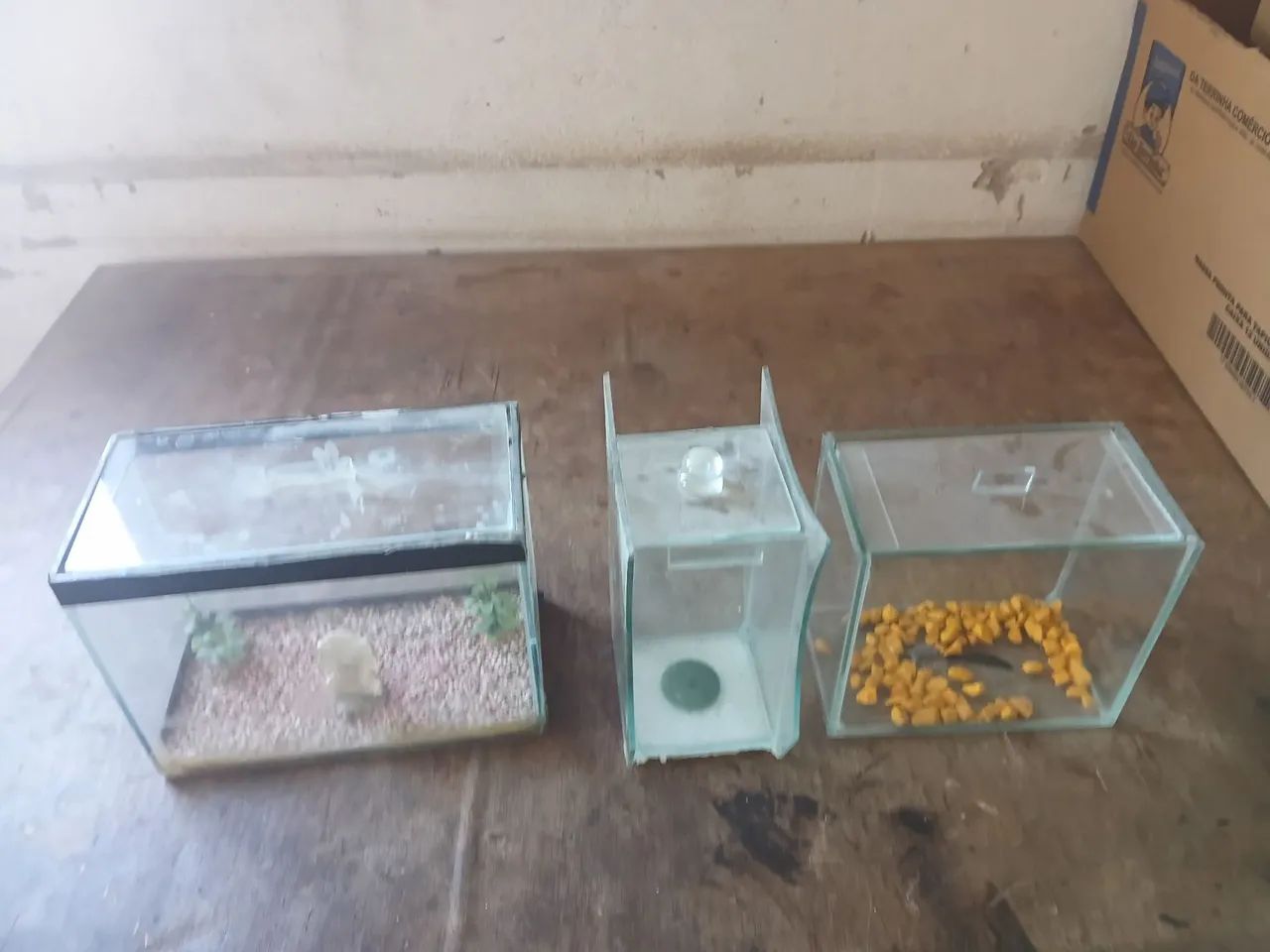 3 mini aquários 