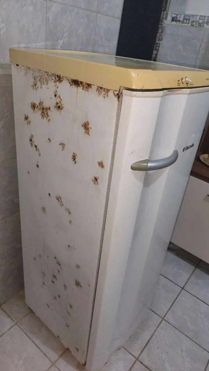 Geladeira  - Foto 4
