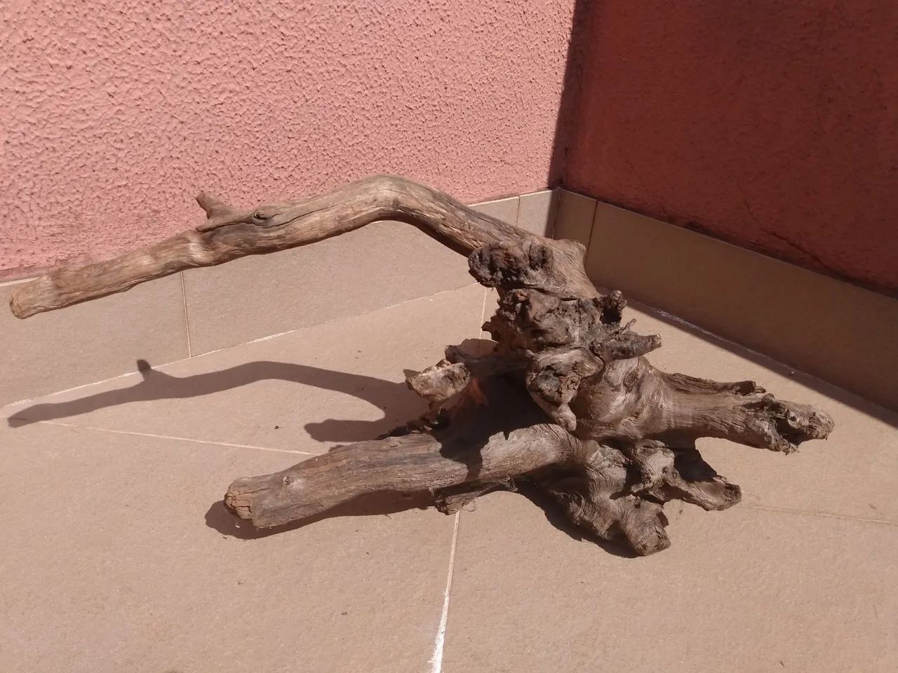Raízes para terrários  - Foto 2