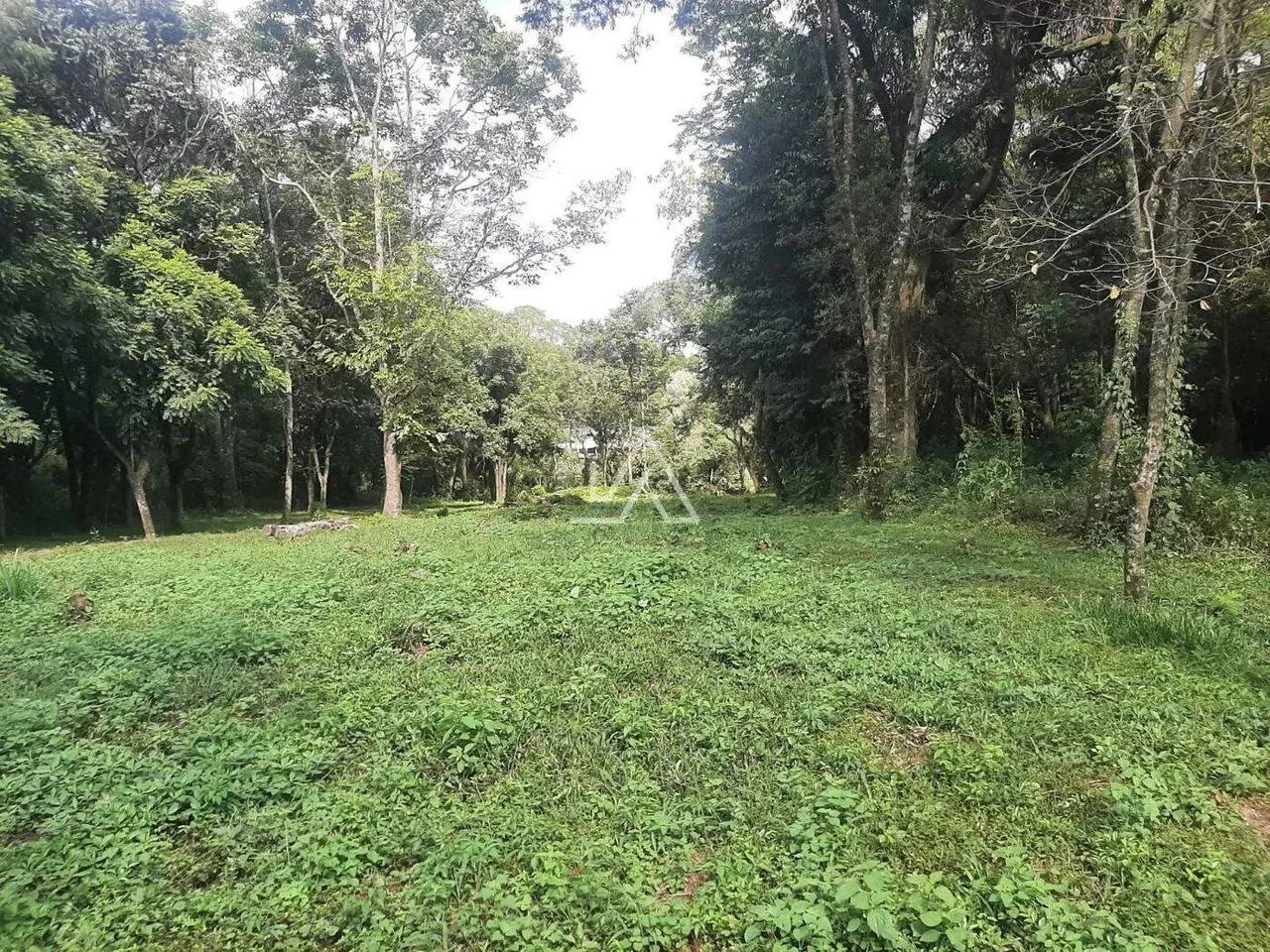 TERRENO NO BOQUEIRÃO - Foto 2