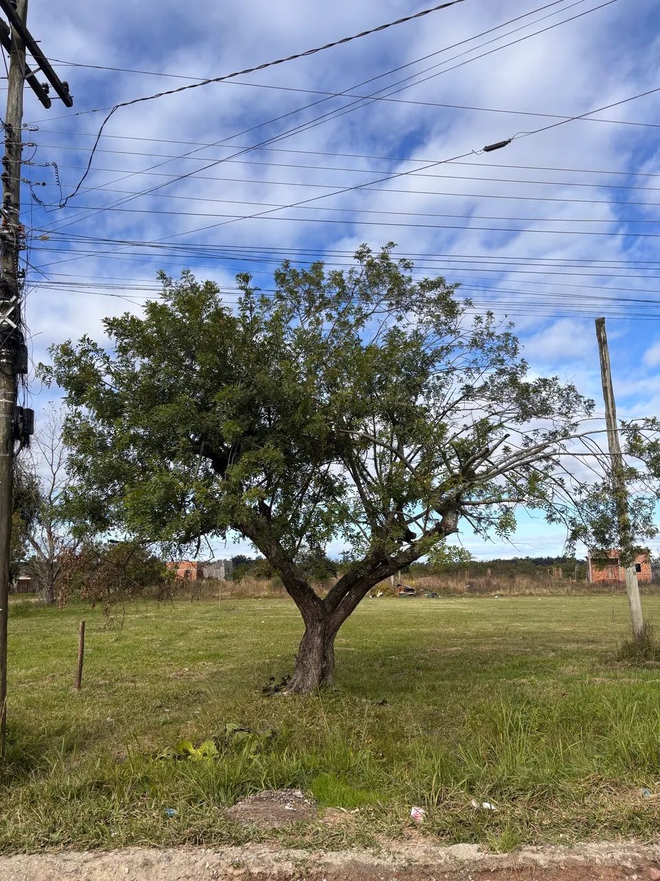 Terreno Escriturado | Pelotas - Foto 2
