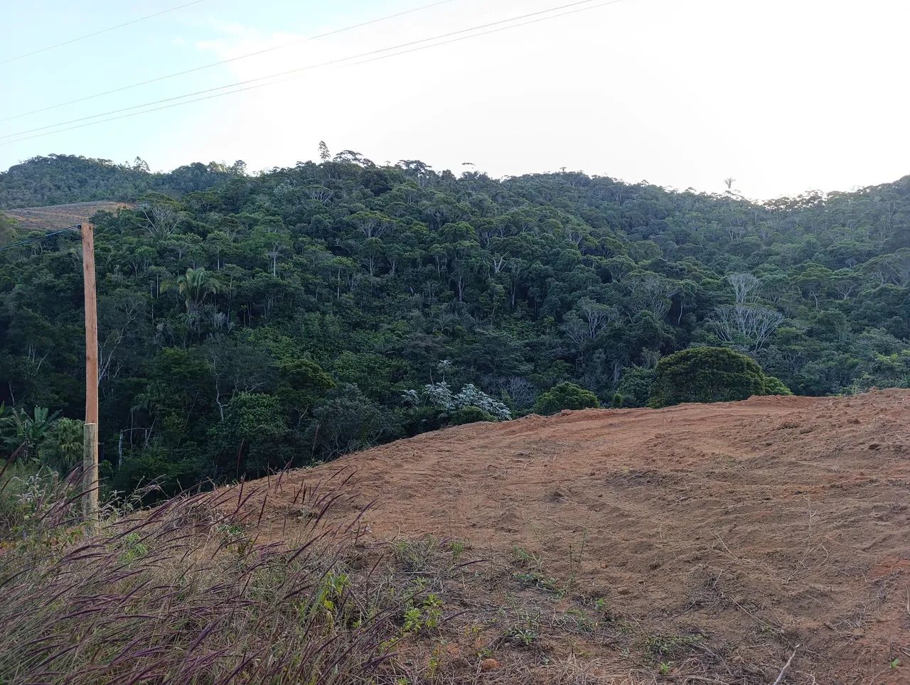 Vend terreno 3.000m²em holandinha 90mil - Foto 5