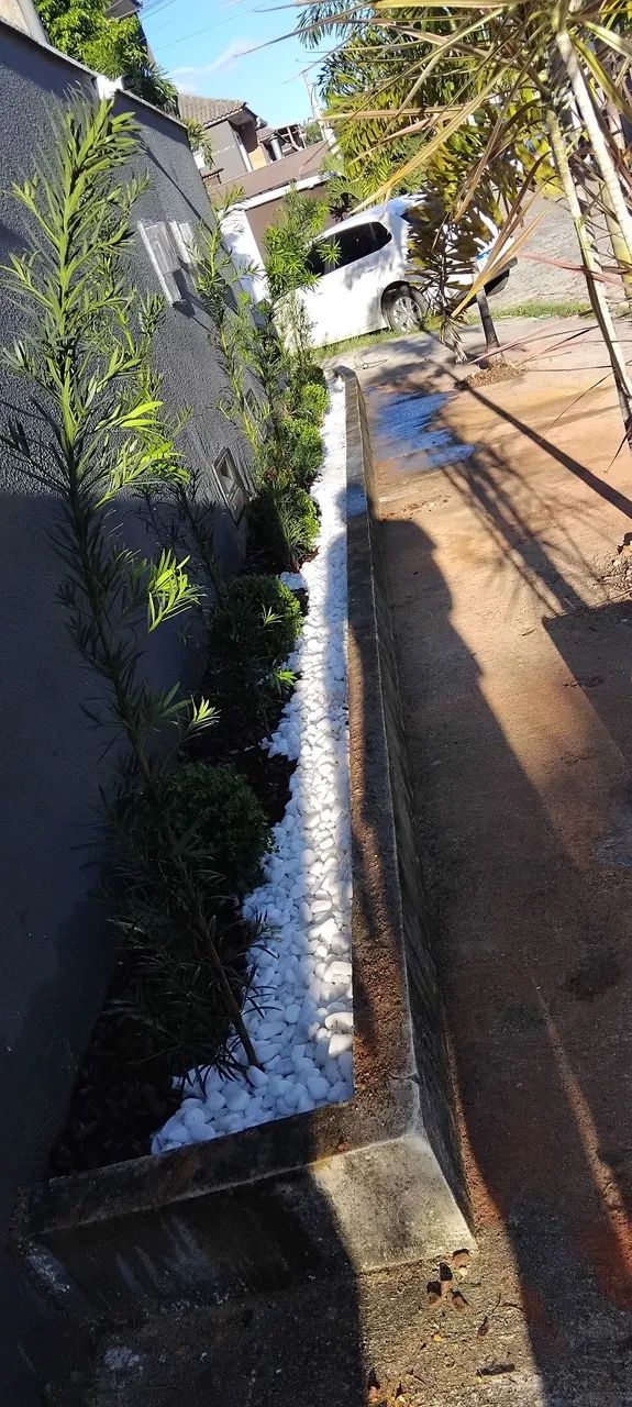 Serviço de jardinagem e paisagismo  - Foto 4