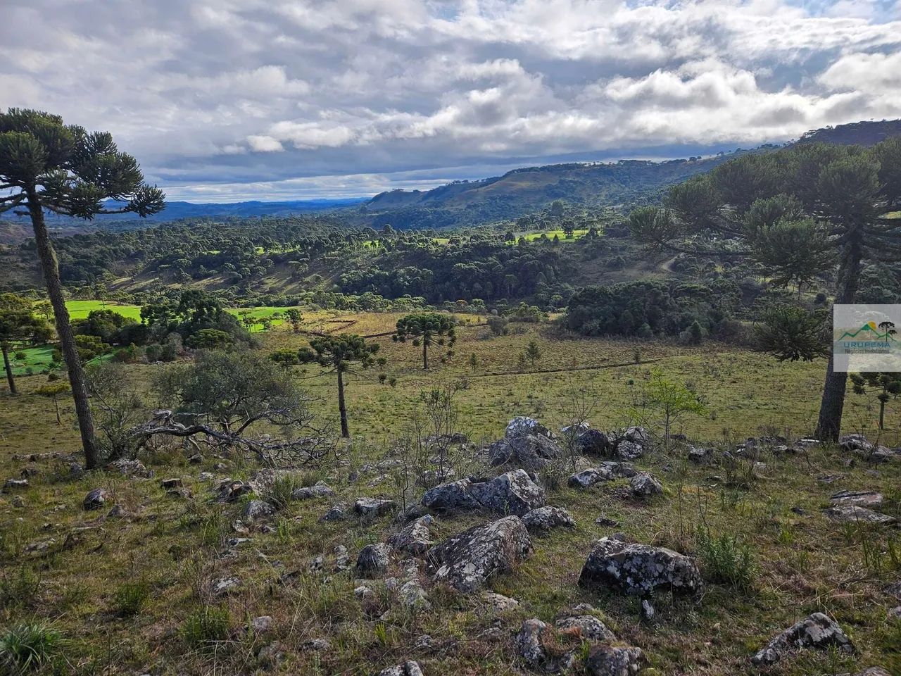 Terreno rural 20 hectares no Cedro