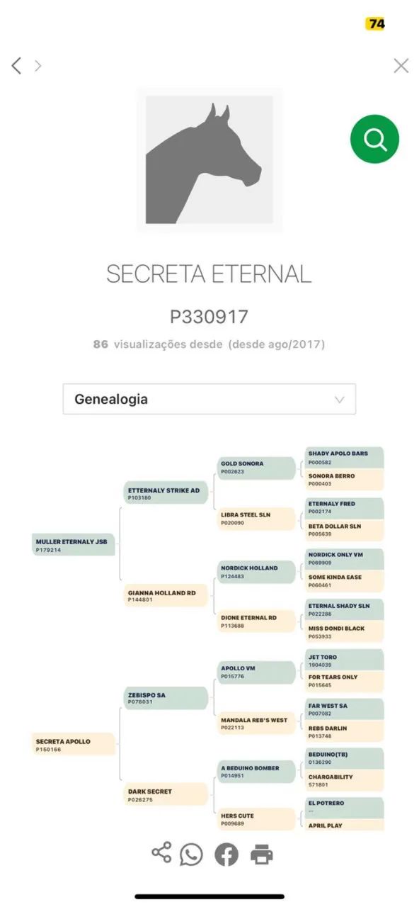 Vendo égua quanto de milha de direita - Foto 5