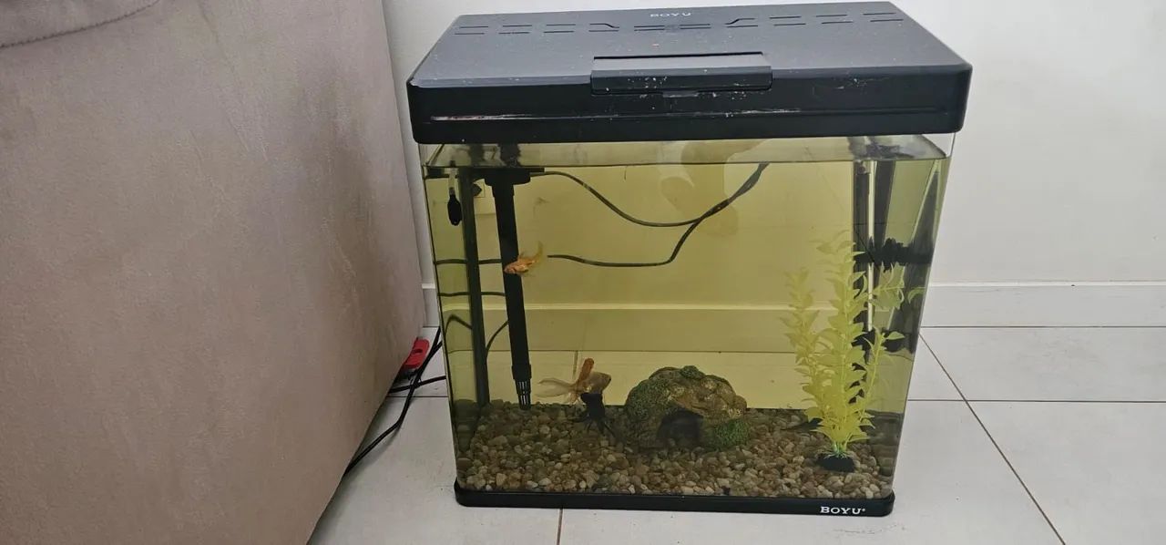 Aquario Boyo 3 meses de uso 48 litros