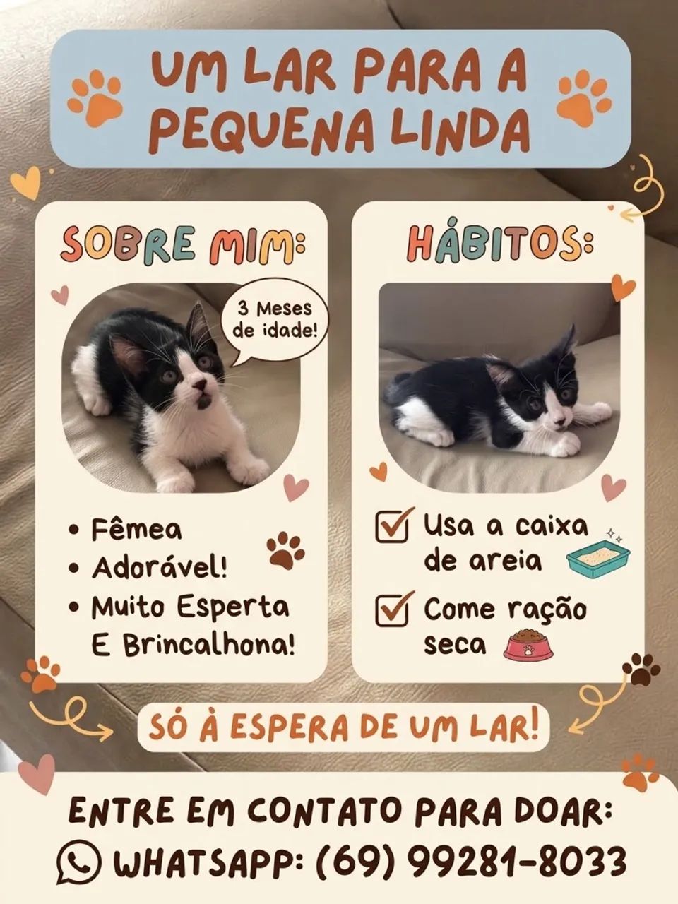 Doação  - Foto 2