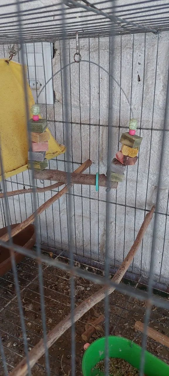 Gaiola de calopsita com acessórios.  - Foto 5