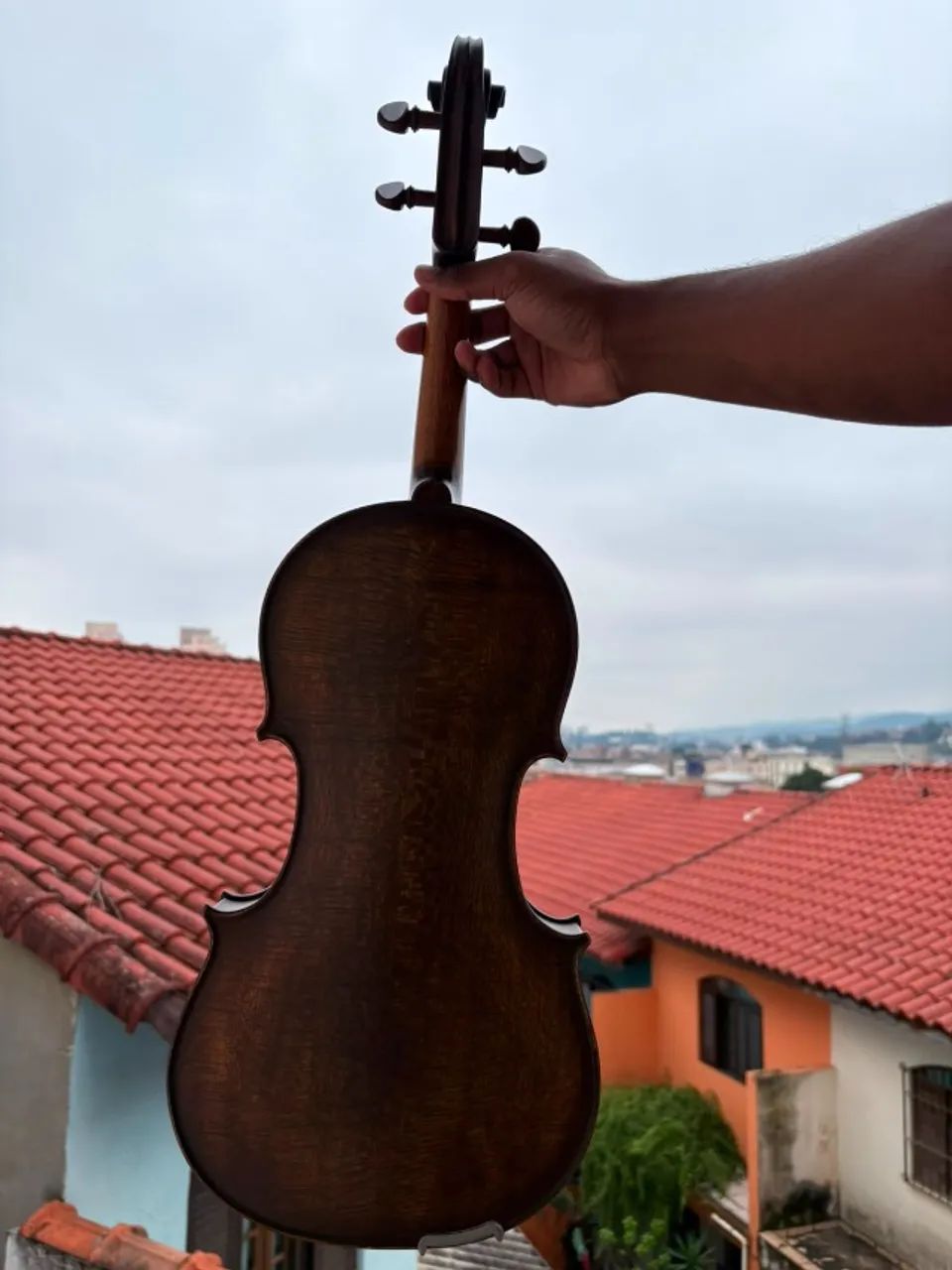 Viola de arco (Viola erudita) - Foto 3
