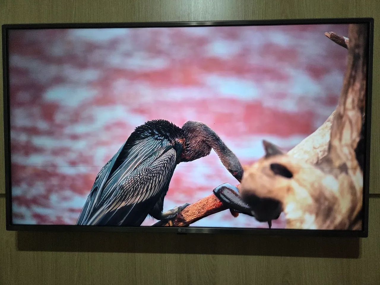 TV LG Smart - Foto 3