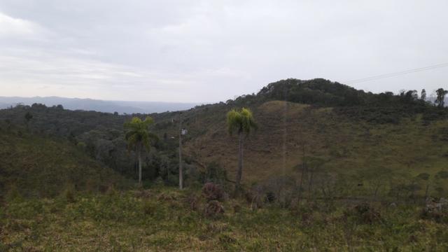 Fazenda com 663 alqueires em campo largo - Foto 2