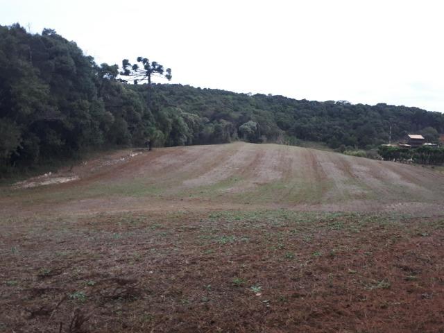 Chacara com 36.000m² juruqui - Foto 14