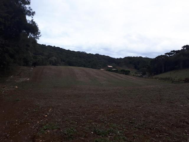 Chacara com 36.000m² juruqui - Foto 12