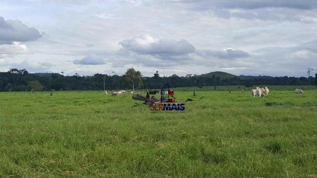Fazenda Localizada na cidade de Buritis-RO - Foto 17