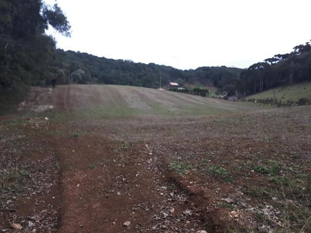 Chacara com 36.000m² juruqui - Foto 3