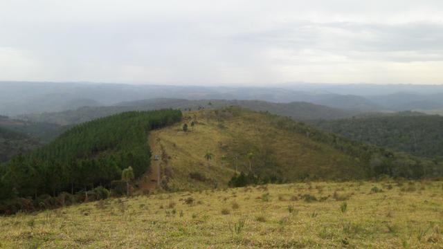 Fazenda com 663 alqueires em campo largo
