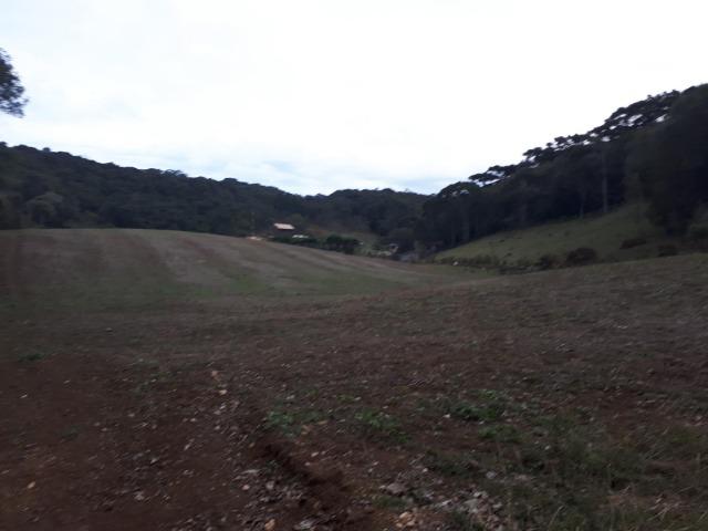Chacara com 36.000m² juruqui - Foto 2