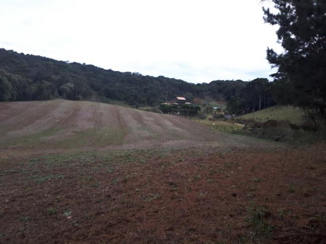 Chacara com 36.000m² juruqui - Foto 10