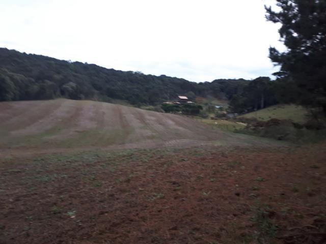 Chacara com 36.000m² juruqui - Foto 5