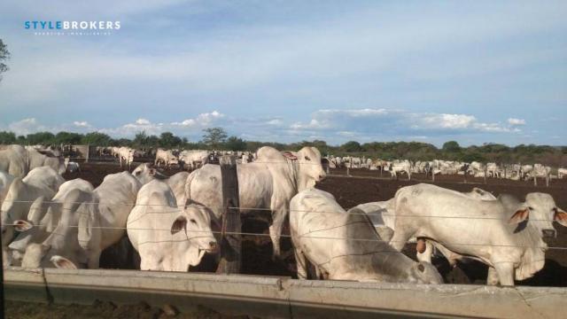 Fazenda no Estado da Bahia à venda, 600000000 m² por R$ 525.000.000 - Praia Grande - Salva - Foto 2