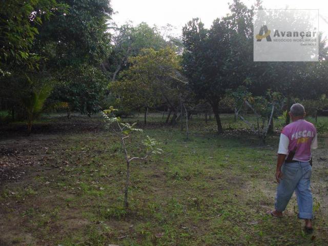 Chácara com 3 dormitórios à venda, 20000 m² por R$ 500.000,00 - Carne de Vaca - Goiana/PE - Foto 9