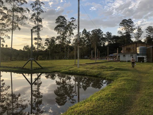 Sítio de 2,5 hectares - Foto 16