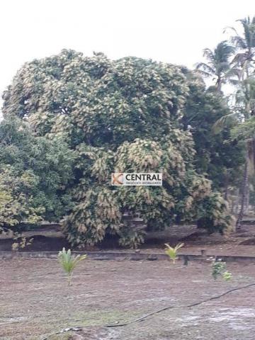 Fazenda à venda, 834268 m² por R$ 800.000,00 - Zona Rural - Mata de São João/BA - Foto 18