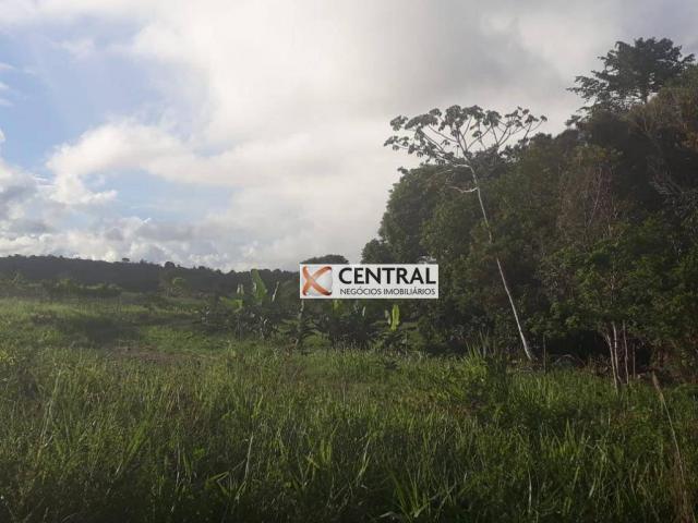 Fazenda à venda, 834268 m² por R$ 800.000,00 - Zona Rural - Mata de São João/BA - Foto 13