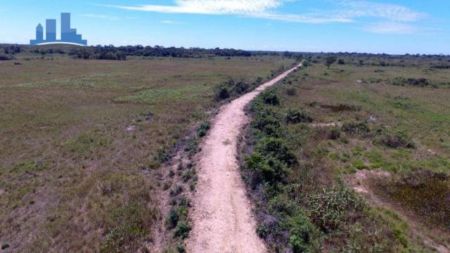 FAZENDA PARA GADO DE 14.950 HECTARES NA REGIÃO DE POCONÉ-MT - Foto 14