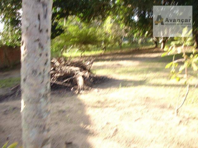 Chácara com 3 dormitórios à venda, 20000 m² por R$ 500.000,00 - Carne de Vaca - Goiana/PE - Foto 12