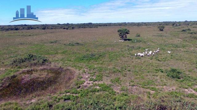 FAZENDA PARA GADO DE 14.950 HECTARES NA REGIÃO DE POCONÉ-MT - Foto 16