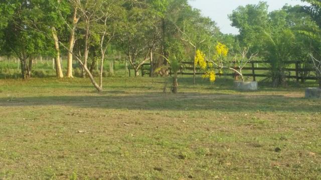 Sitio 120 hectares em Livramento - Foto 2