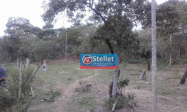 Sítio à venda, Villa Verde, Rio das Ostras - RJ - Foto 5