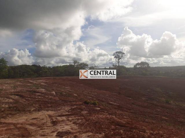 Fazenda à venda, 834268 m² por R$ 800.000,00 - Zona Rural - Mata de São João/BA - Foto 5