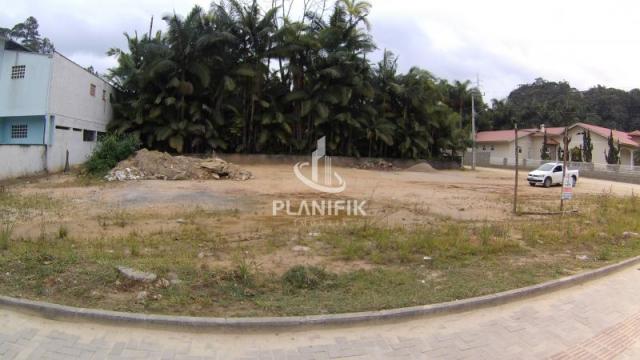 Terreno na rua são pedro - Foto 3