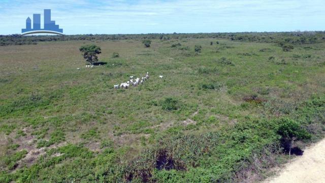 FAZENDA PARA GADO DE 14.950 HECTARES NA REGIÃO DE POCONÉ-MT - Foto 17