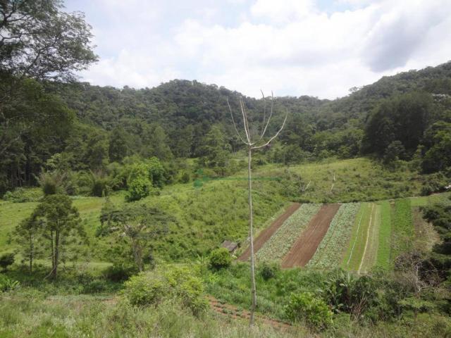 Sitio com 780.000 m² por R$ 1.150.000 - Ponte Nova - Teresópolis/RJ - Foto 2
