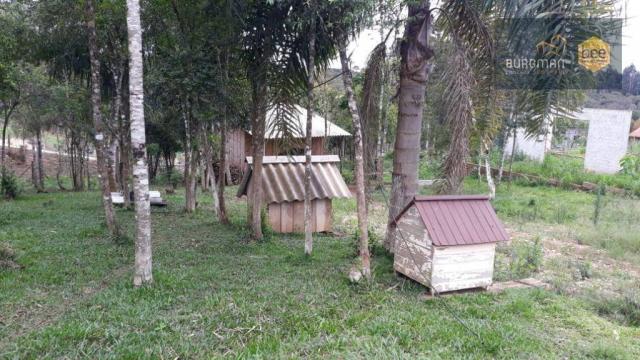 Chácara à venda, proximo a Igreja do Rosário em Colombo - PR - Foto 3