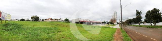 Terreno para alugar, 18000m² - Jardim São Jorge - Londrina/PR - Foto 6